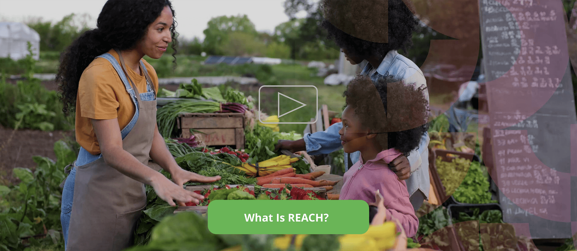 The hero image for the REACH site with a lady at a market stand serving a lady and her daughter.