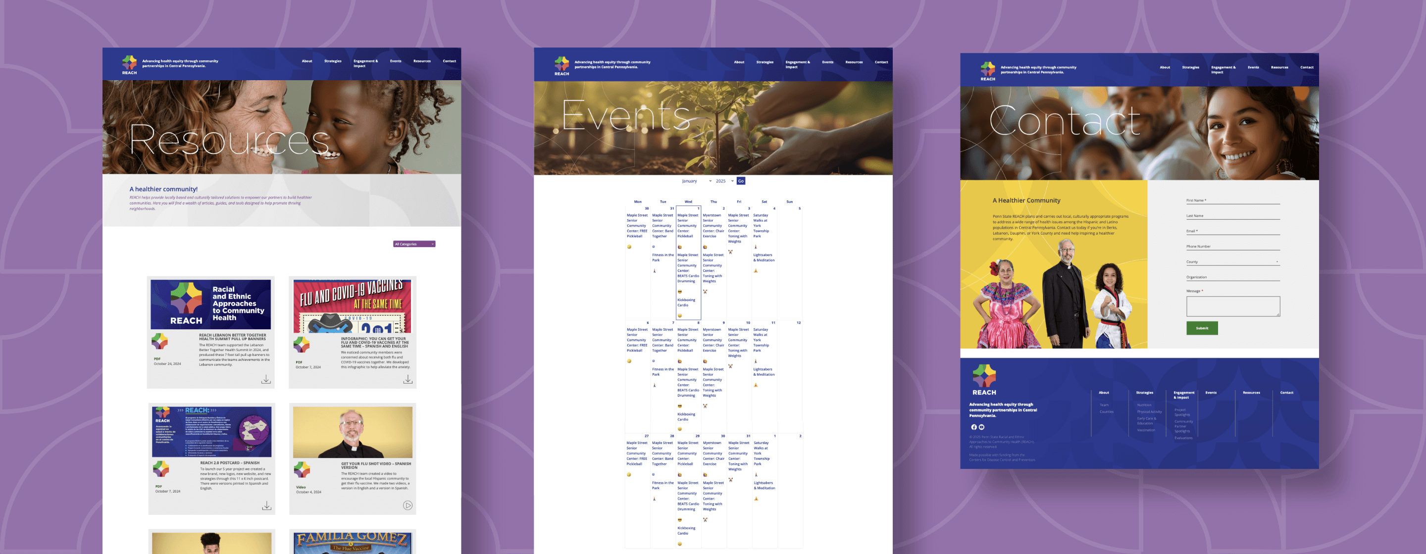 3 pages displayed of different pages from the REACH website.